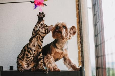 Foto: Helena Jankovičová Kováčová: Pexels