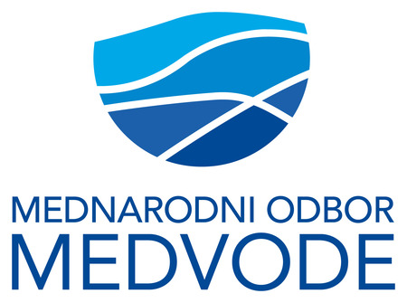 Mednarodni odbor