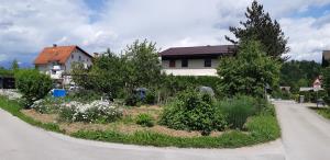 20200525_144944_resize