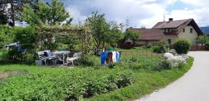 20200525_145027_resize