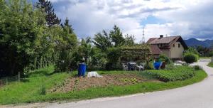 20200525_145046_resize