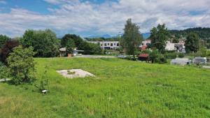 239976DJI_0432_Snapseed