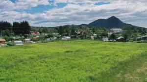 239975DJI_0431_Snapseed