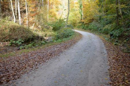 Cesta Trnovec - Setnica