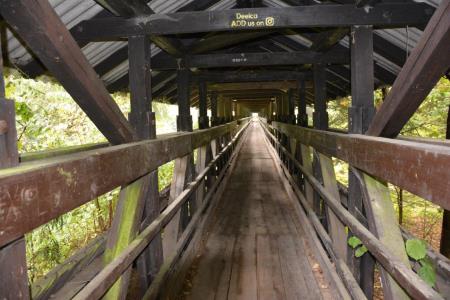 Fotografija stare brvi