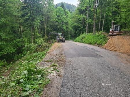 Cesta Trnovec - Topol