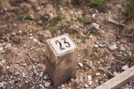 Odprtje vrtičkov v Preski-009