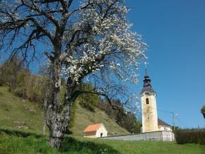Cerkev sv. Katarine na Topolu